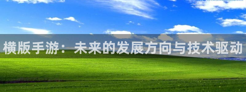 安信娱乐被国家认可吗：横版手游：未来的发展方向与技术驱动