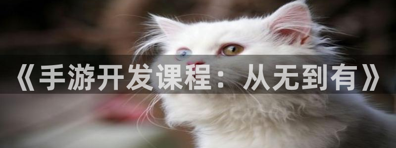 安信2娱乐：《手游开发课程：从无到有》