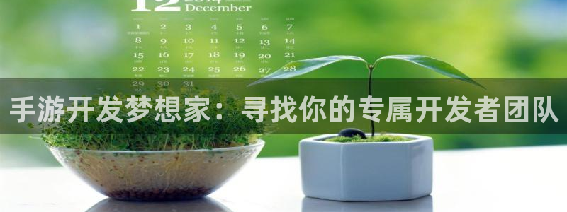 安信13娱乐官网入口：手游开发梦想家：寻找你的专属开发者团队