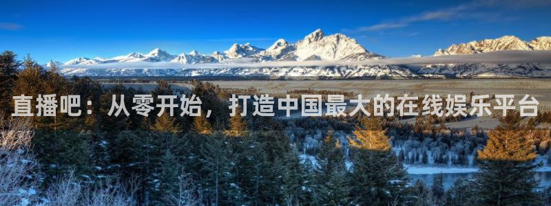 劲爆体育高清直播：直播吧：从零开始，打造中国最大的在线娱乐平台