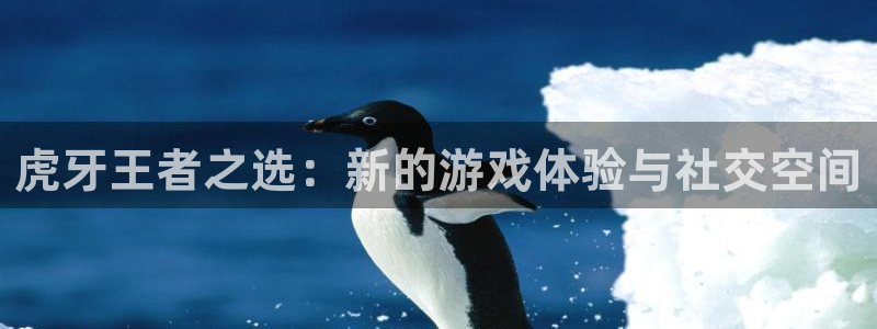 劲爆体育nba现场直播：虎牙王者之选：新的游戏体验与社交空间