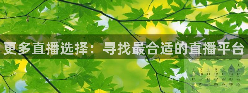 nba劲爆体育在线直播