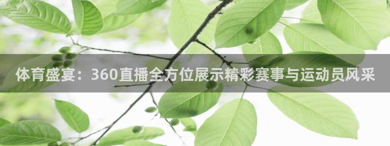 劲爆体育频道在线观看免费：体育盛宴：360直播全方位展示精彩赛事与运动员风采